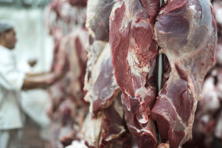 Une boucherie dont la viande est contaminée par la bactérie E. coli.