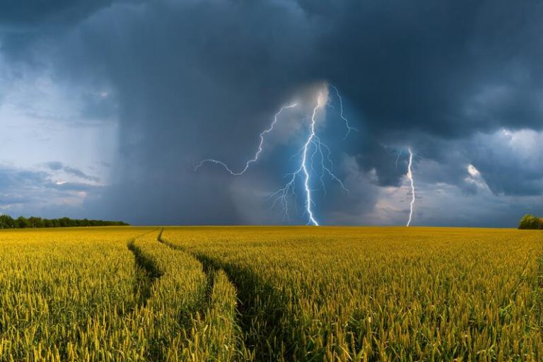 Un orage qui s'abat sur un champ et décuple les allergies au pollen.