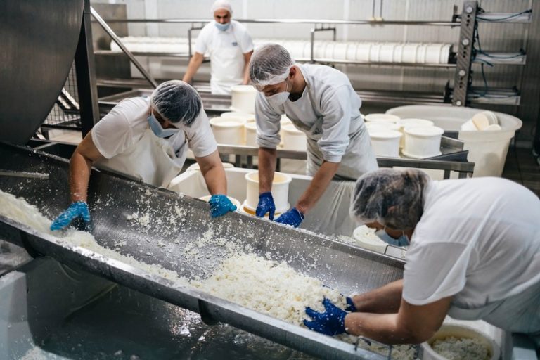 Des employés de la société Chavegrand qui fabrique des fromages avec le nouveau protocole pour éviter le développement de la bactérie Listeria monocytogenes.