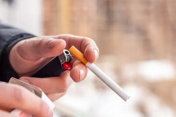elfbar nachfüll pod läuft aus Tabac vs E-liquides : Tout ce que vous devez savoir 2026 main image 0