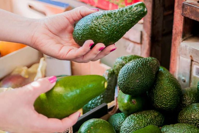 Une femme qui hésite entre deux variétés d'avocats.