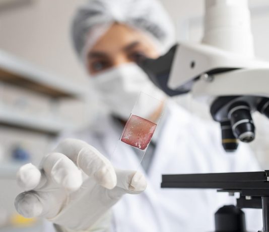 Une chercheuse qui étudie les bactéries résistantes aux bactéries.