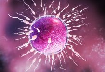 Don de sperme : une mutation cancérigène peut-elle échapper au dépistage génétique ? Une procréation médicalement assistée reproduite en 3D avec les spermatozoïdes cancérigènes du donneur.