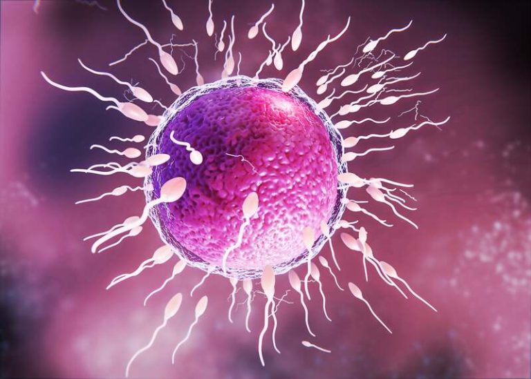 Une procréation médicalement assistée reproduite en 3D avec les spermatozoïdes cancérigènes du donneur.