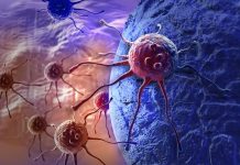 Cancer : « une forte augmentation du nombre de cas dans les prochaines décennies » Hausse des cas de cancer dans le monde, entretien Centre International de Recherche contre le Cancer, à Lyon, décembre 2025.