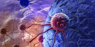 Cancer : « une forte augmentation du nombre de cas dans les prochaines décennies » Hausse des cas de cancer dans le monde, entretien Centre International de Recherche contre le Cancer, à Lyon, décembre 2025.