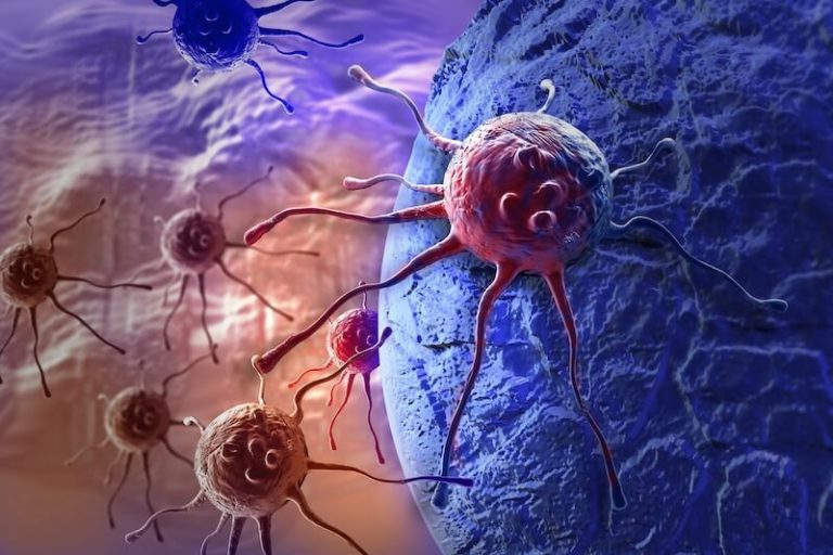 Hausse des cas de cancer dans le monde, entretien Centre International de Recherche contre le Cancer, à Lyon, décembre 2025.