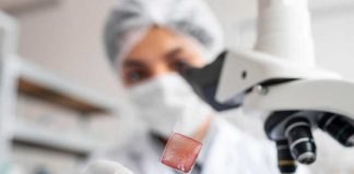 Cancer du pancréas : des chercheurs ont réussi à éliminer totalement les tumeurs chez la souris ! L’une des chercheuses ayant contribué à mettre au point la thérapie capable d’éliminer des tumeurs du cancer du pancréas chez la souris.