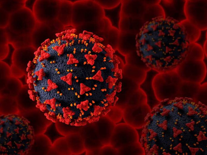 Virus Nipah après le Pakistan faut il craindre une propagation jusqu en Europe Ma Santé Le virus Nipah observé au microscope pendant la période d’incubation.