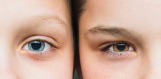 Transmission génétique : à qui votre enfant ressemblera-t-il le plus ? Deux enfants d’une même famille qui n’ont pas la même couleur des yeux.