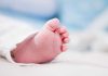 Réchauffement climatique : naîtra-t-il bientôt moins de garçons que de filles ? Le pied d’un bébé garçon né avant les gros épisodes de chaleur.