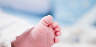 Réchauffement climatique : naîtra-t-il bientôt moins de garçons que de filles ? Le pied d’un bébé garçon né avant les gros épisodes de chaleur.