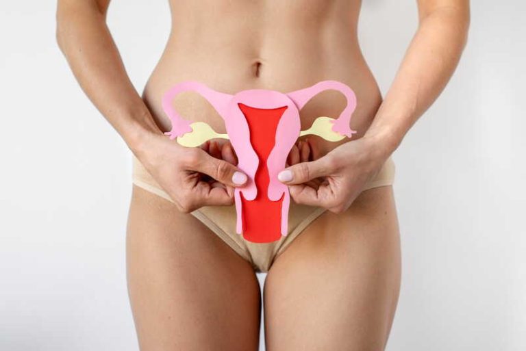Une femme explique, à l’aide d’une image, comment fonctionne le cycle menstruel.