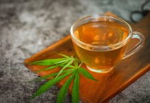 CBD en infusion : effets, dosages et erreurs à éviter chez soi Une tisane au CBD.