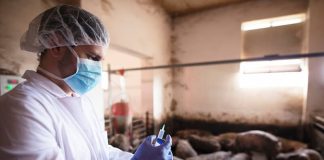 One Health : Lyon accueille un sommet stratégique pour la santé du vivant