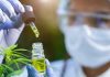 Une chercheuse présente une huile de CBD étudiée pour son potentiel à freiner la transmission du VIH.
