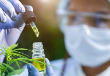 VIH : le CBD ouvre une piste inattendue pour bloquer la transmission du virus Une chercheuse présente une huile de CBD étudiée pour son potentiel à freiner la transmission du VIH.