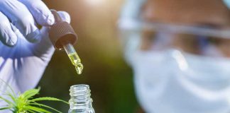 VIH : le CBD ouvre une piste inattendue pour bloquer la transmission du virus Une chercheuse présente une huile de CBD étudiée pour son potentiel à freiner la transmission du VIH.