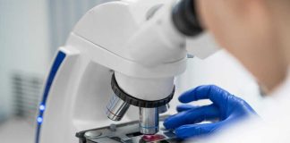 Cancer du pancréas : un médicament expérimental pourrait doubler la survie de certains patients Un chercheur étudie en laboratoire un nouveau médicament contre le cancer du pancréas.