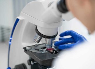 Un chercheur étudie en laboratoire un nouveau médicament contre le cancer du pancréas.