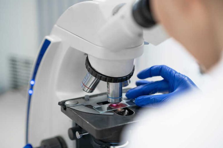 Un chercheur étudie en laboratoire un nouveau médicament contre le cancer du pancréas.