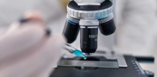 À Nantes, des chercheurs découvrent une piste contre les bactéries résistantes Un chercheur du CHU de Nantes poursuit ses découvertes sur le lien entre le microbiote intestinal et la résistance des bactéries aux antibiotiques.