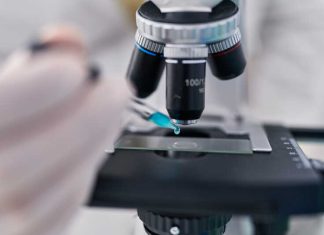 À Nantes, des chercheurs découvrent une piste contre les bactéries résistantes Un chercheur du CHU de Nantes poursuit ses découvertes sur le lien entre le microbiote intestinal et la résistance des bactéries aux antibiotiques.