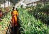 Une jeune femme pulvérise un herbicide sur ses plantes, sans imaginer qu’une exposition répétée pourrait, des années plus tard, être associée à un risque accru de cancer colorectal.
