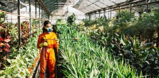 Augmentation des cas de cancer colorectal chez les jeunes : un herbicide jugé “sans risque” en cause ? Une jeune femme pulvérise un herbicide sur ses plantes, sans imaginer qu’une exposition répétée pourrait, des années plus tard, être associée à un risque accru de cancer colorectal.