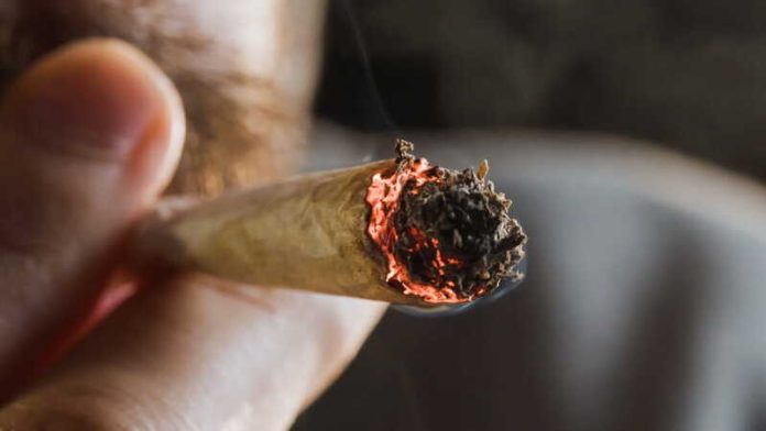 Cannabis à l’adolescence ce que le THC fait vraiment à un cerveau encore en construction Ma Santé Un jeune homme qui fume un joint de cannabis sans en connaître les conséquences.