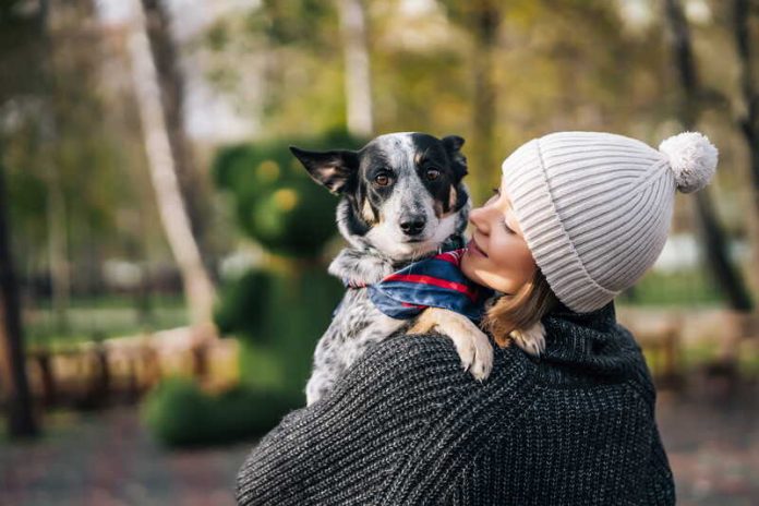 Chiens chats animaux leur présence faisait vraiment du bien au moral Ma Santé Une femme qui porte son chien comme un enfant.