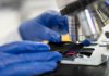 Recherche sur le cancer : des avancées spectaculaires dévoilées à Chicago Un scientifique mène des recherches pour améliorer les traitements et la survie des patients atteints de cancer.