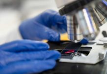 Recherche sur le cancer : des avancées spectaculaires dévoilées à Chicago Un scientifique mène des recherches pour améliorer les traitements et la survie des patients atteints de cancer.