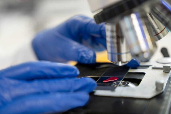Cancers de nouveaux traitements pourraient changer la donne Ma Santé Un scientifique mène des recherches pour améliorer les traitements et la survie des patients atteints de cancer.