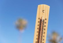 Canicule : la France est-elle devenue le pays le plus chaud du monde ? Un thermomètre affichant des températures record lors de cette canicule.