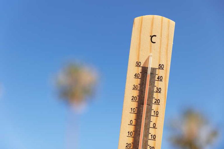 Un thermomètre affichant des températures record lors de cette canicule.