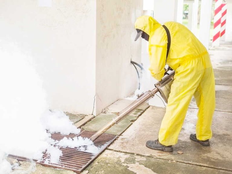 Un agent spécialisé participe à une opération de démoustication à Castres après la détection de deux cas importés de chikungunya.