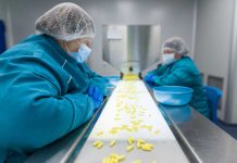 Colchicine : la France relocalise la fabrication de ce médicament essentiel contre la goutte Deux personnes travaillent dans une usine qui fabrique de la colchicine, un médicament utilisé pour traiter les crises de goutte.