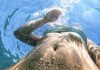 Une jeune femme qui manque de se noyer en pleine canicule.