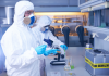 Des chercheurs analysent en laboratoire les perturbateurs endocriniens, substances pouvant interagir avec le système hormonal.