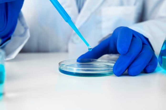 Sclérose en plaques un nouveau traitement de Sanofi nourrit l’espoir contre les formes progressives Ma Santé Un chercheur étudie un nouveau traitement contre la sclérose en plaques progressive.