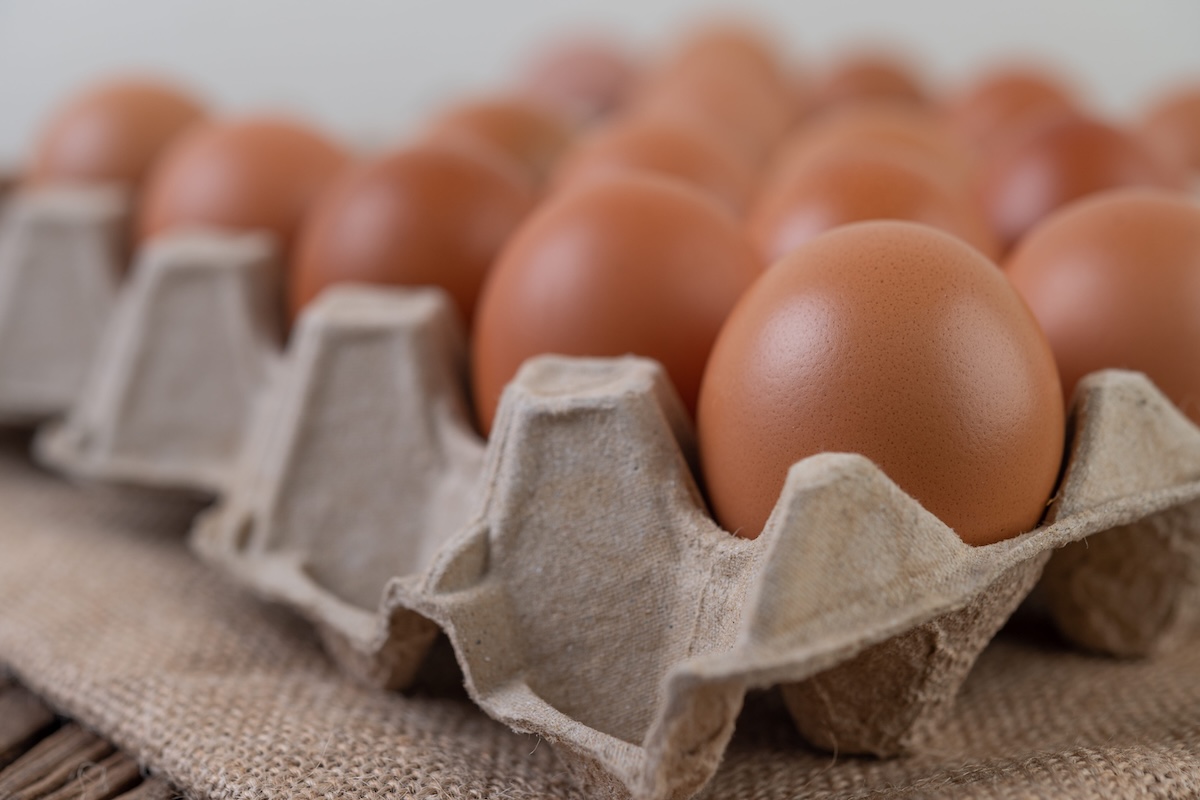 Une boîte d’œufs Lidl contaminés par des salmonelles.