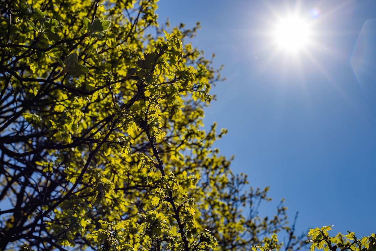 Le ciel de septembre, dominé par un soleil de plomb qui promet de nouvelles vagues de fortes chaleurs.