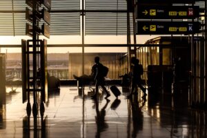 L’aéroport de Francfort, en Allemagne, confronté à plusieurs cas de paludisme possiblement liés à l’importation de moustiques infectés.