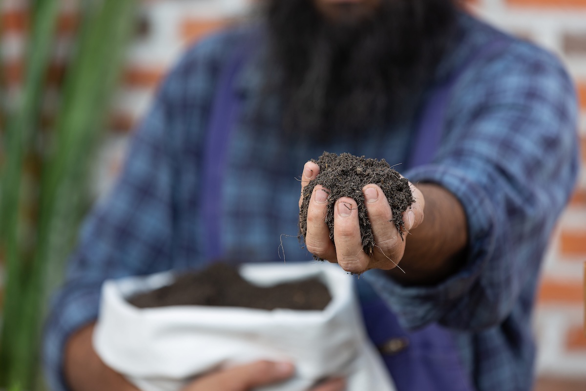 Un agriculteur tient dans sa main une poignée d’engrais contenant du cadmium.